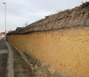 Mud Wall Whittlesea 03A